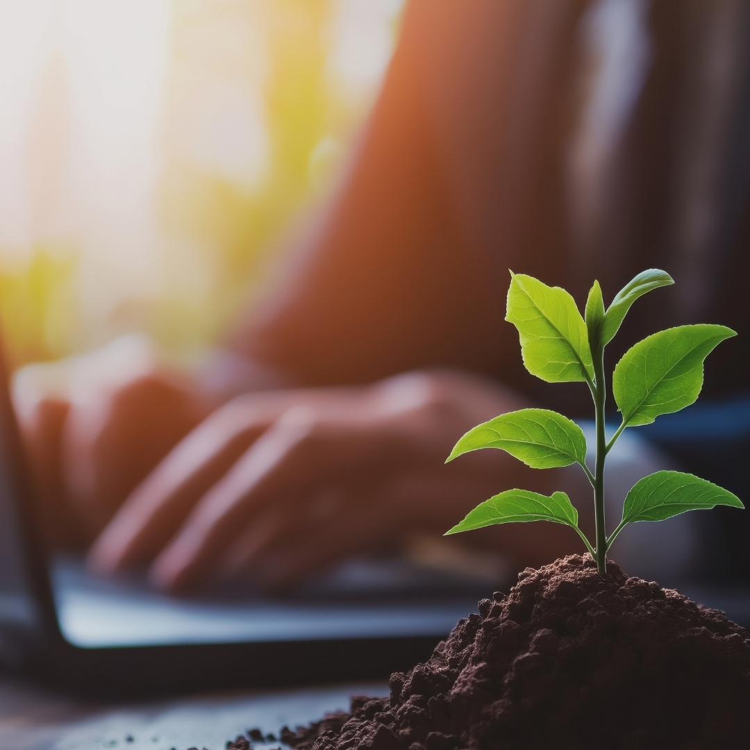 Opportunity Zone Tax Strategies